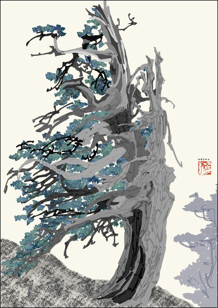 장병언, Digital Drawing, digital_work, 2023